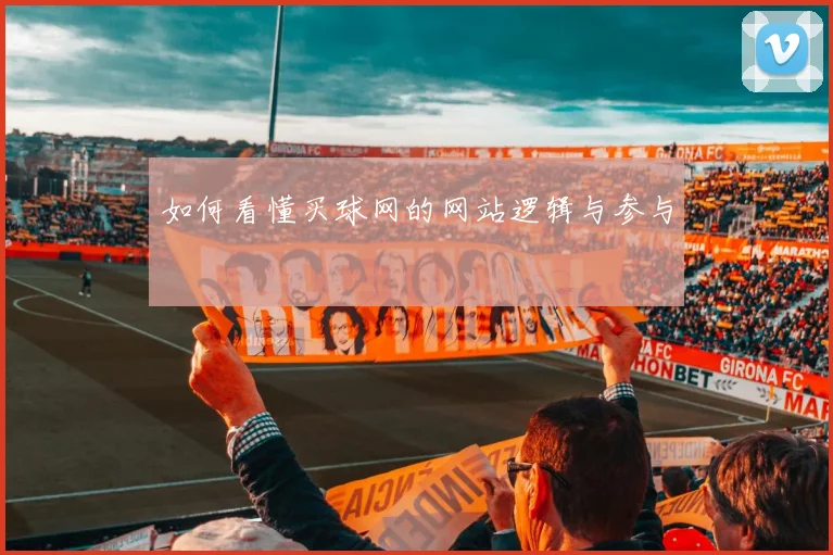 如何看懂买球网的网站逻辑与参与